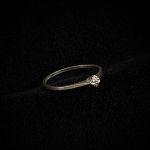 1713 2499 Ring